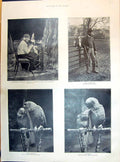 Old 1895 Alps Spinner Gamekeeper Parrots Proposal Glacier Donkeys God Victorian