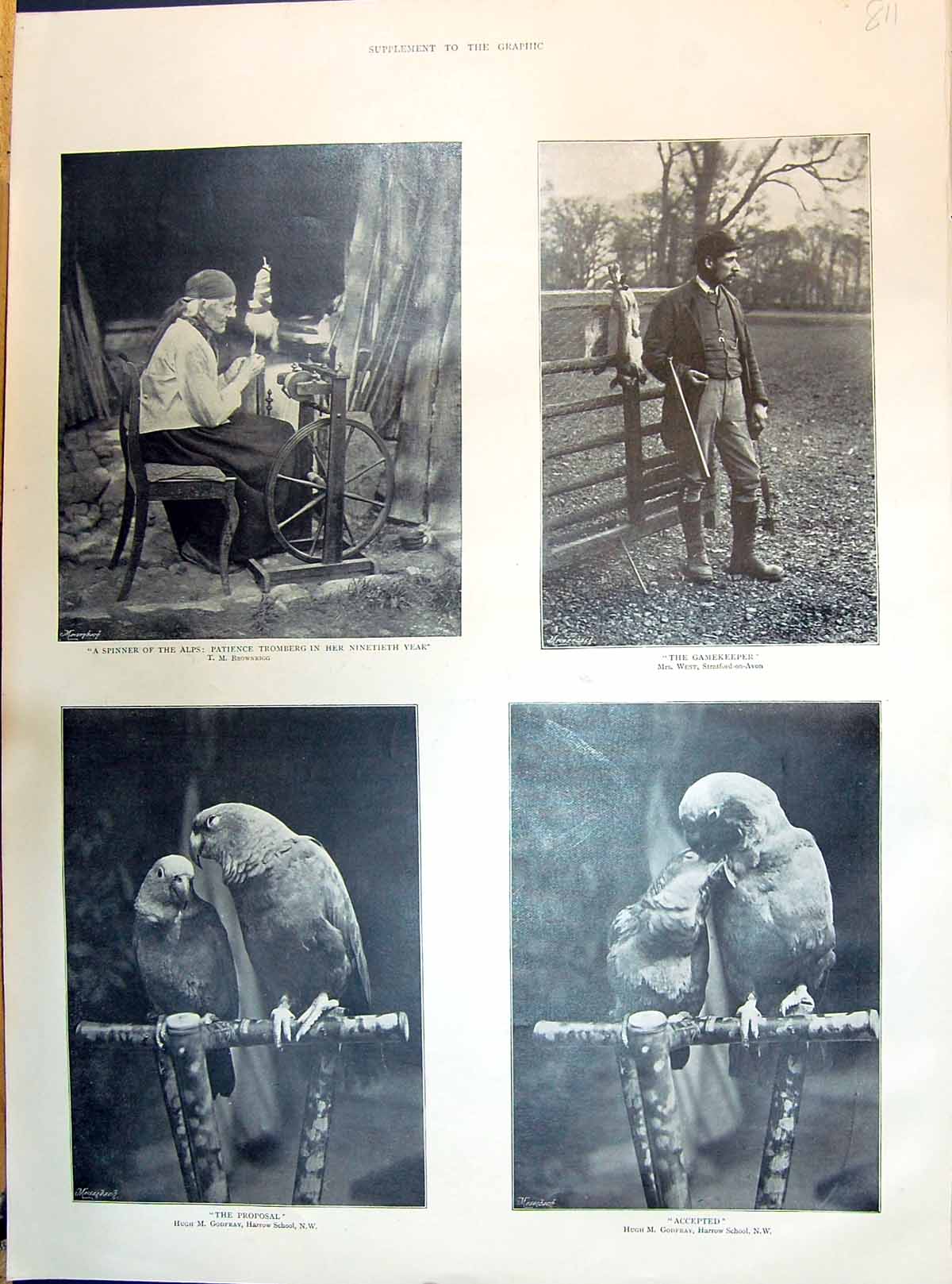 Old 1895 Alps Spinner Gamekeeper Parrots Proposal Glacier Donkeys God Victorian