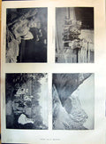 Old 1895 Canine Quartet Alps Lady Smyth India Shooting Vatican Salon Victorian