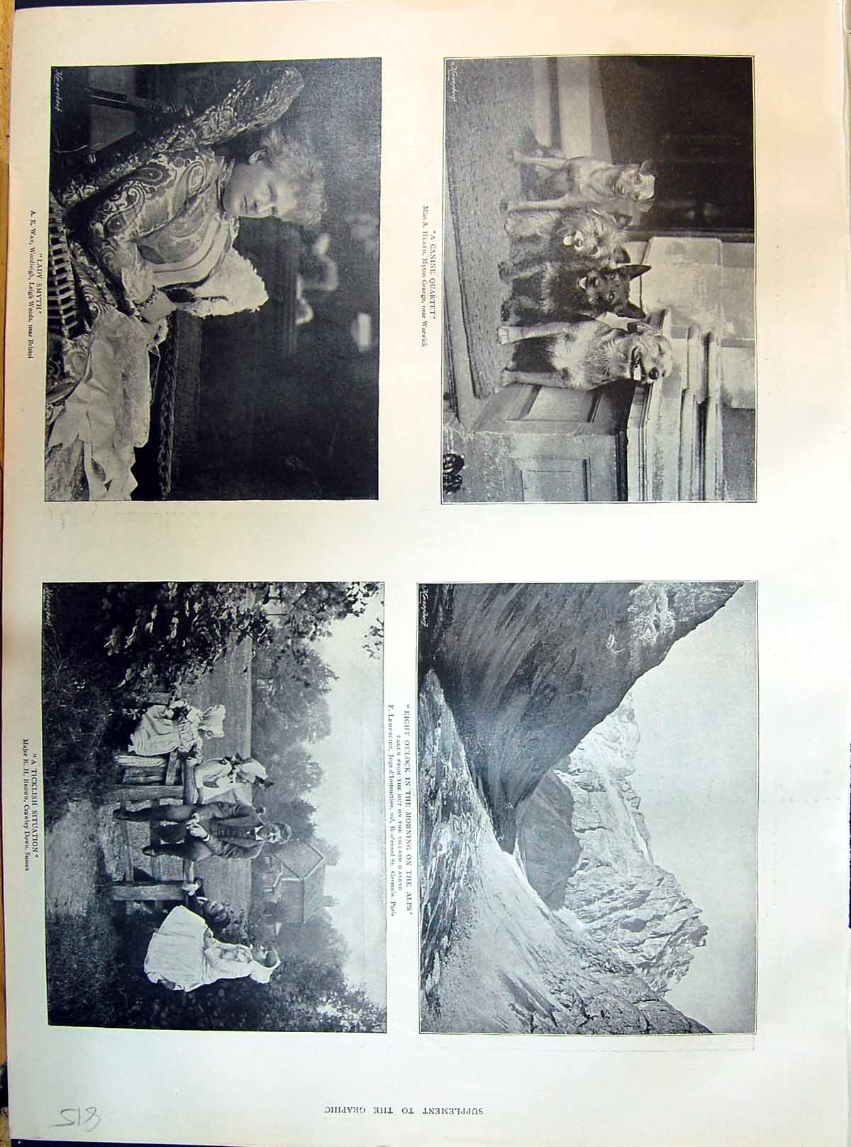 Old 1895 Canine Quartet Alps Lady Smyth India Shooting Vatican Salon Victorian