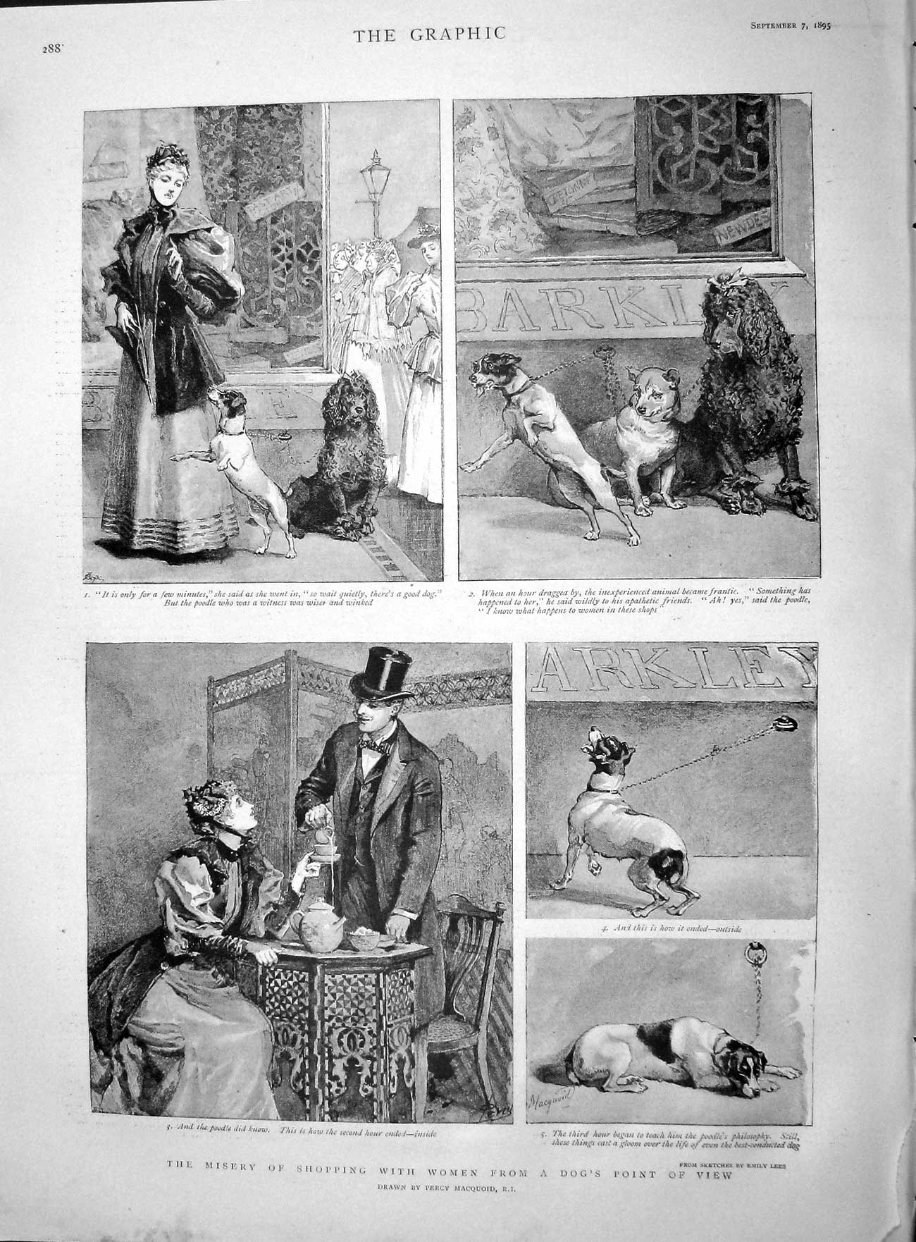 Original Old Antique Print 1895 Misery Shopping Dog Ambulance Corps Work Fields