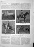 Original Old Antique Print 1895 Dublin Horse Show Power Roark O'Grady Garde 19th
