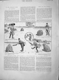 Original Old Antique Print 1895 British Bather Beach Sea-Side Professor 19th