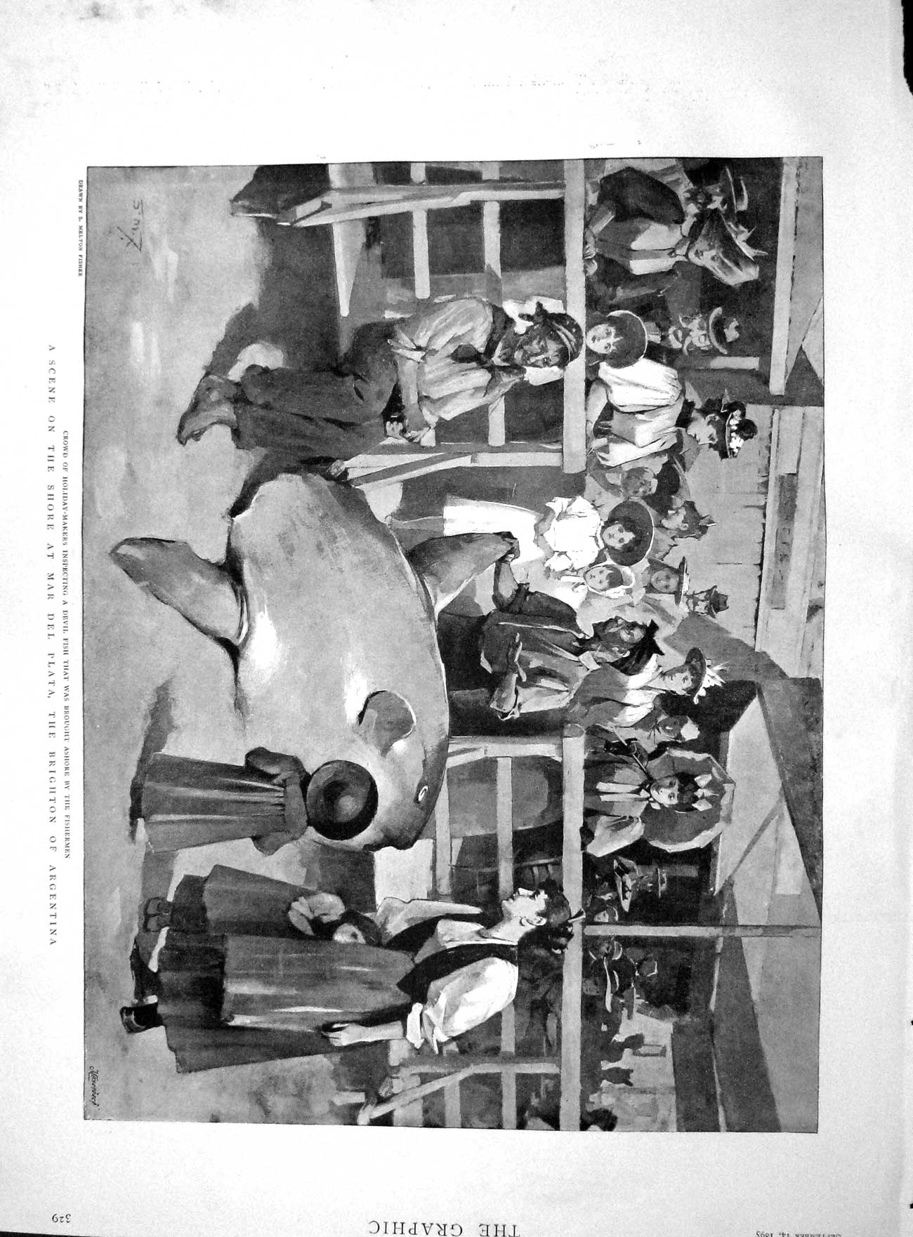 Old Antique Print 1895 Holiday Makers Devil Fish Mar Del Plata Brighton 19th
