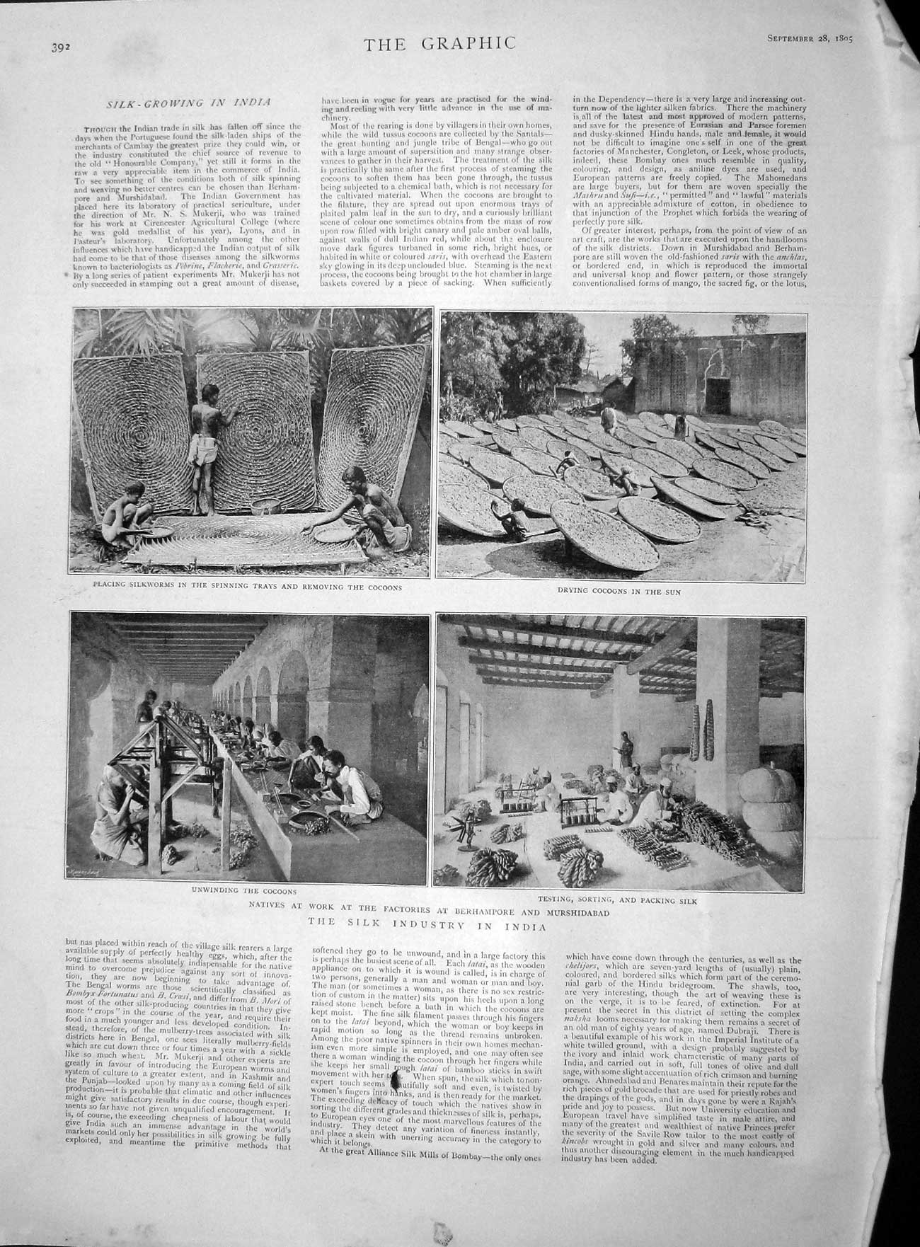 Old Antique Print 1895 Silk Industry India Factory Berhampore Alexandra 19th