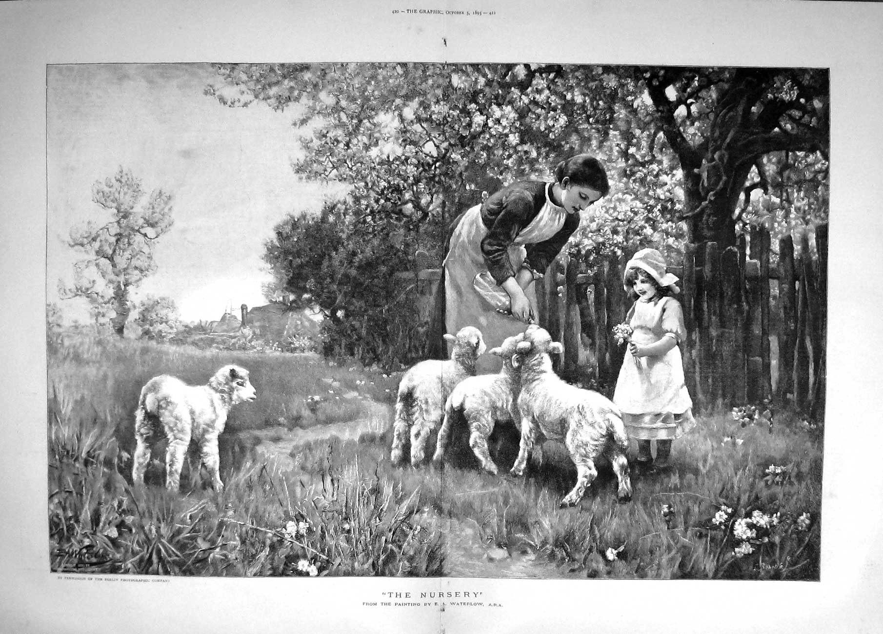 Original Old Antique Print 1895 Nursery Pet Lambs Garden Flowers Little Gi 19th