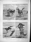 Original Old Antique Print 1895 Breaking-In Warrigals Wild Horses Queensland