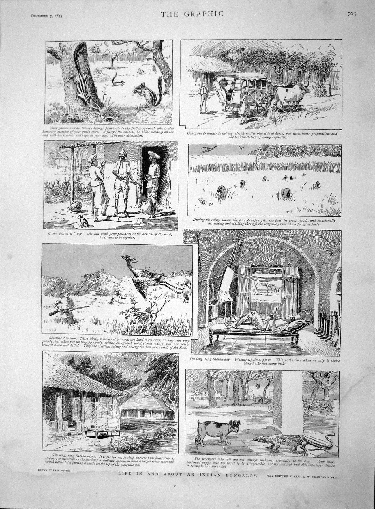 Original Old Antique Print 1895 Life India Bungalow Animals Hunting Victorian