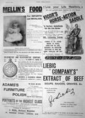 Original Old Antique Print 1896 Bear Hunt Youssonopoff Snow Petersburg Gsmith