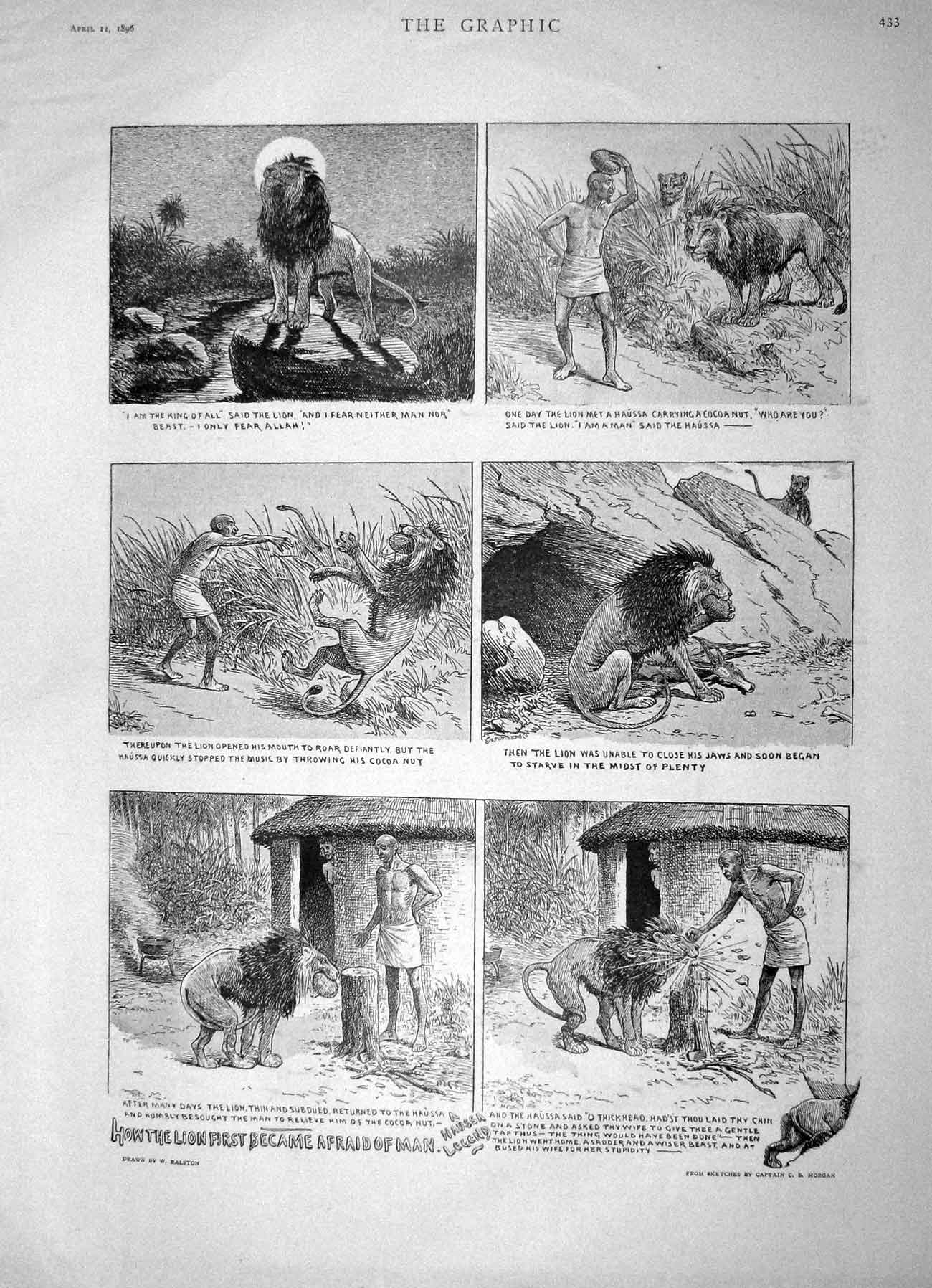 Original Old Antique Print 1896 Comedy Scene Lion Man Africa Natives Victorian
