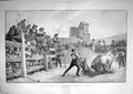 Original Old Antique Print 1896 Bull Fight Country Village Spain Matador Arajo