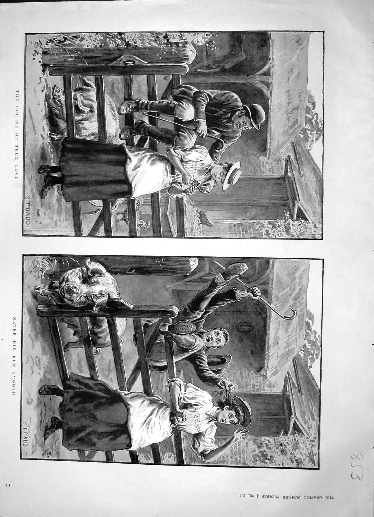 Original Old Antique Print 1896 Man Lady Romance Pigs Accident Farmyard Animals