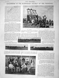 Original Old Antique Print 1896 GMining Klerksdorp Transvaal Chicago Medal 19th