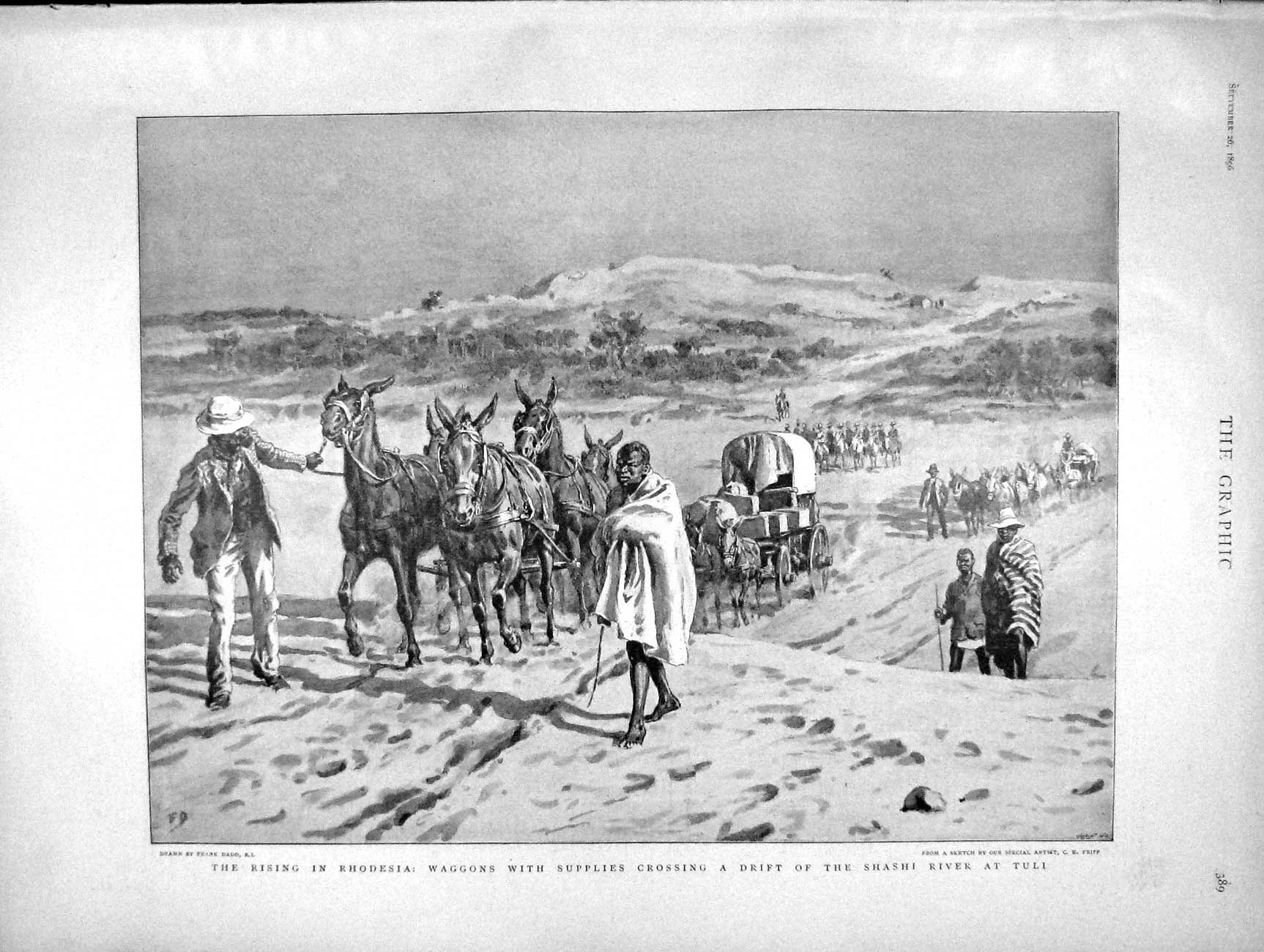 Original Old Antique Print 1896 Rhodesia Waggons Shashi River Tuli Berch 19th