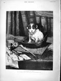 Original Old Antique Print 1896 Master Arts Puppy Dog Writing Desk F Victorian