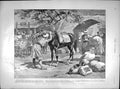 Old Antique Print 1897 Armenia Massacre Pantheistic Tarsus Graves Pokwani 19th