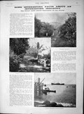 Old Antique Print 1897 Gathering Lime Fruit Industry Ship Rose Refineries 19th