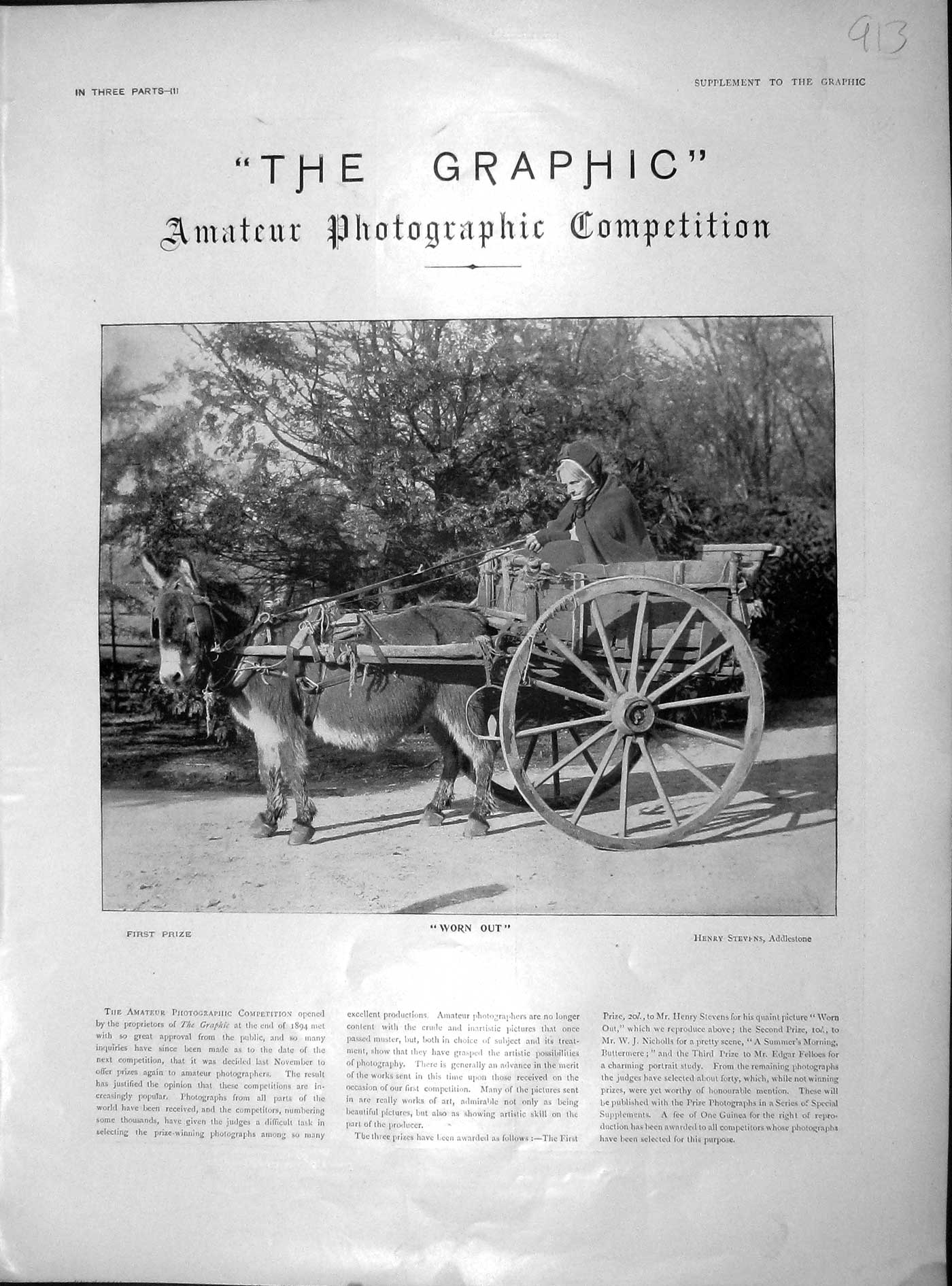 Original Old Antique Print 1897 Lady Donkey Cart Photograph Henry Stevens 19th