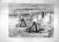 Original Old Antique Print 1897 Haymaking Convict Gangs Prisoners Warder 19th