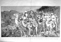Original Old Antique Print 1897 Sparkes Bay Suakin Camels Berber Desert Osman