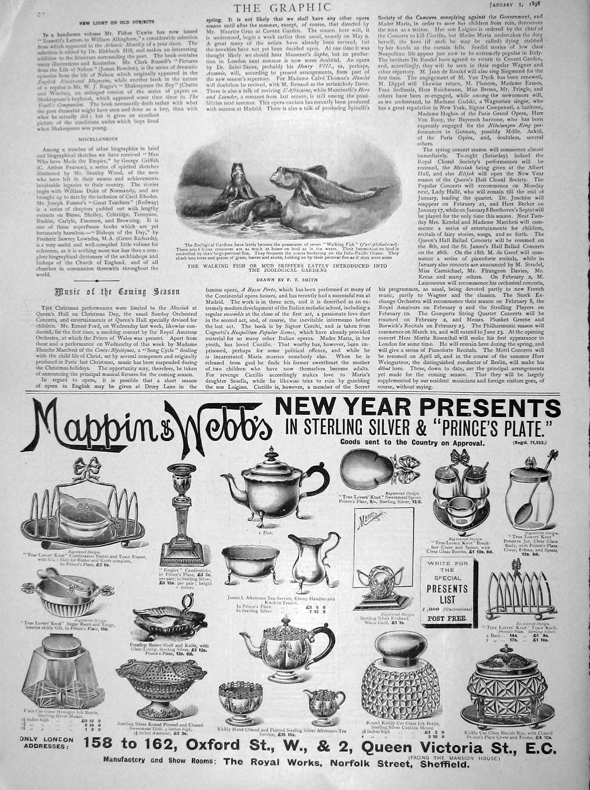 Old Antique Print 1898 Walking Fish Mud Skippers Zoological Gardens Webb 19th