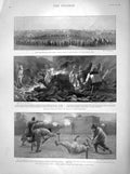 Old Antique Print 1898 Tirah War Chamkanni Tribe Field Hospital Afridis 19th