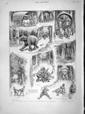 Old Antique Print 1898 Story Police Commissioner Tropical Travel Elephant 19th