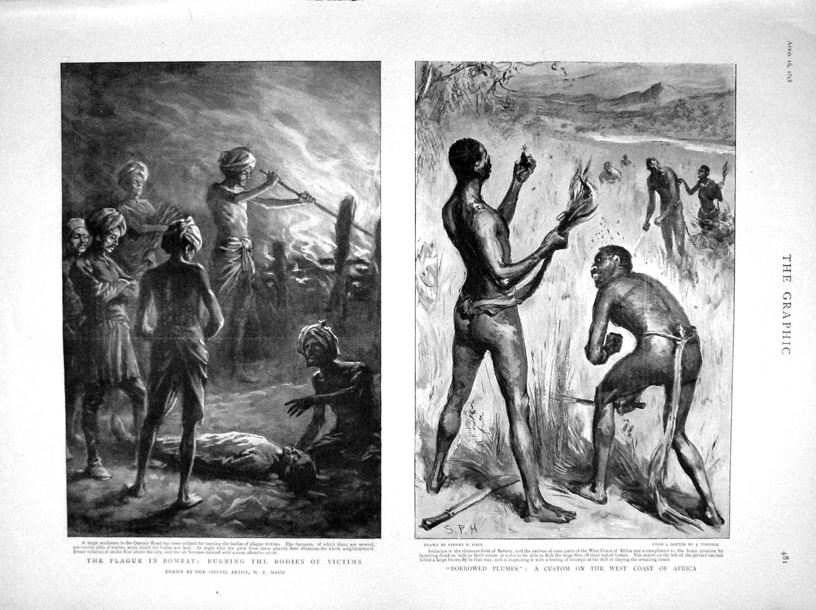 Original Old Antique Print 1898 Plague Bombay Burying Bodies Africa Natives