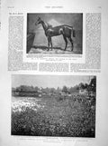 Old Antique Print 1898 Hindoo Festival India Mahamakam Horse Jeddah Derby 19th