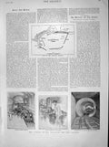 Old Antique Print 1898 Waterloo Railway Plan Dover Harbour Congo Matadi 19th