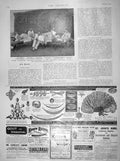 Old Antique Print 1898 Omdurman Hospital Abadia Neshham Nicholson Clarke 19th