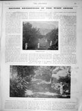 Original Old Antique Print 1899 British Industry West Indies Gathering Limes