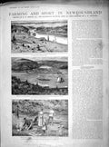 Old Antique Print 1899 Farming Newfoundland Salmonier Deer Ferry Hunting 19th