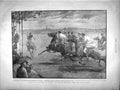 Original Old Antique Print 1899 Polo Malta Army Navy Teams Portsmouth Dockyard