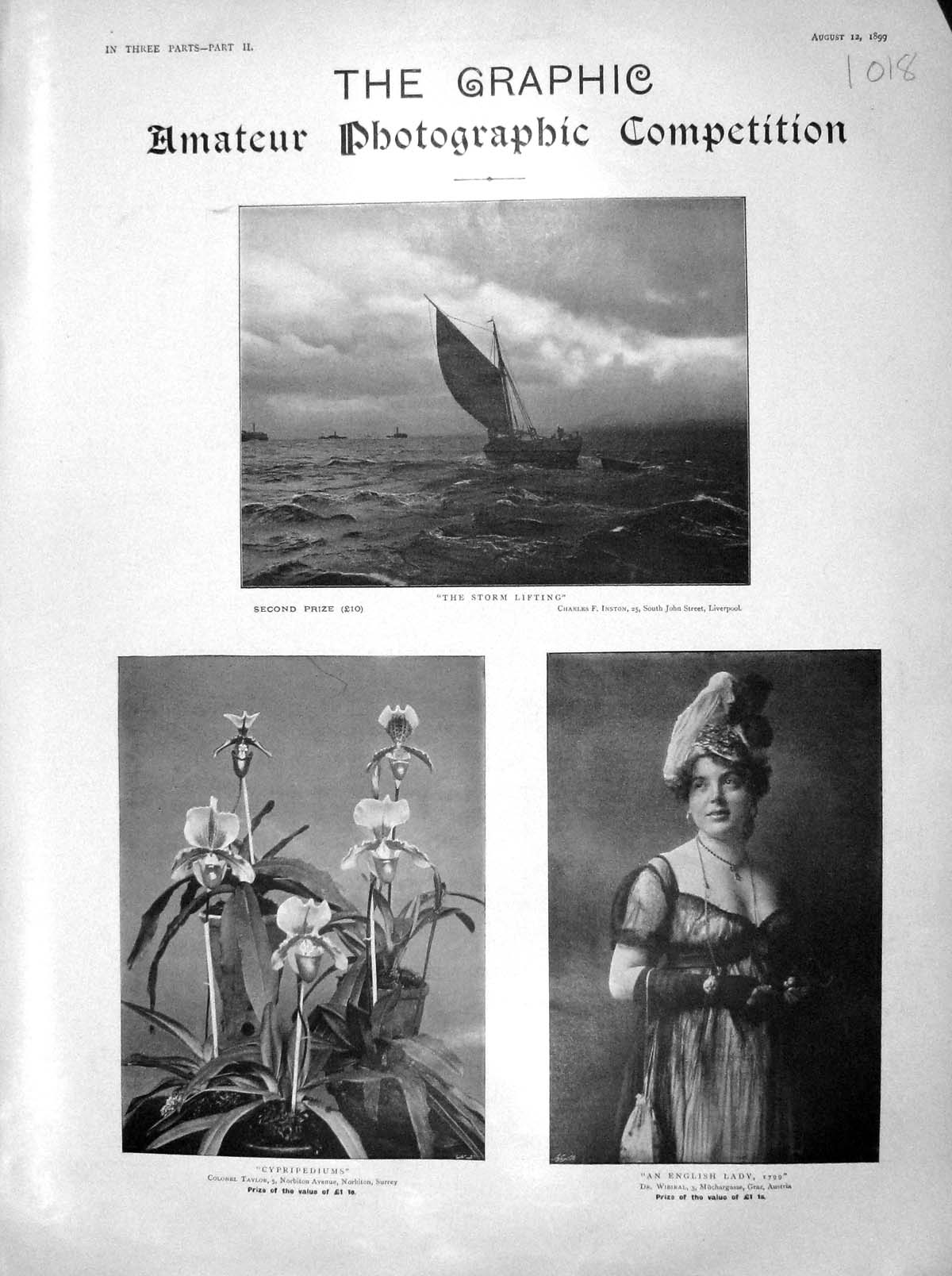 Old Antique Print 1899 Amateur Photograph Flowers Lady Puppies Dog Girl 19th