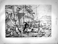 Original Old Antique Print 1899 British Battle Ship Samoa Fruit Bullfinch 19th