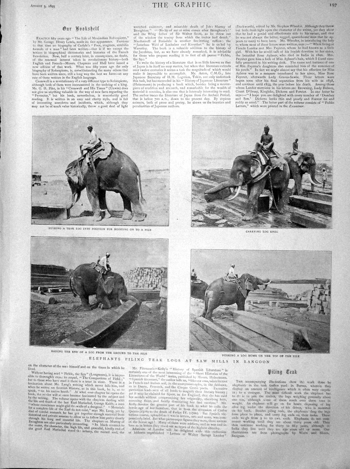 Original Old Antique Print 1899 Elephants Logs Mills Rangoon Moulin Carrier Men