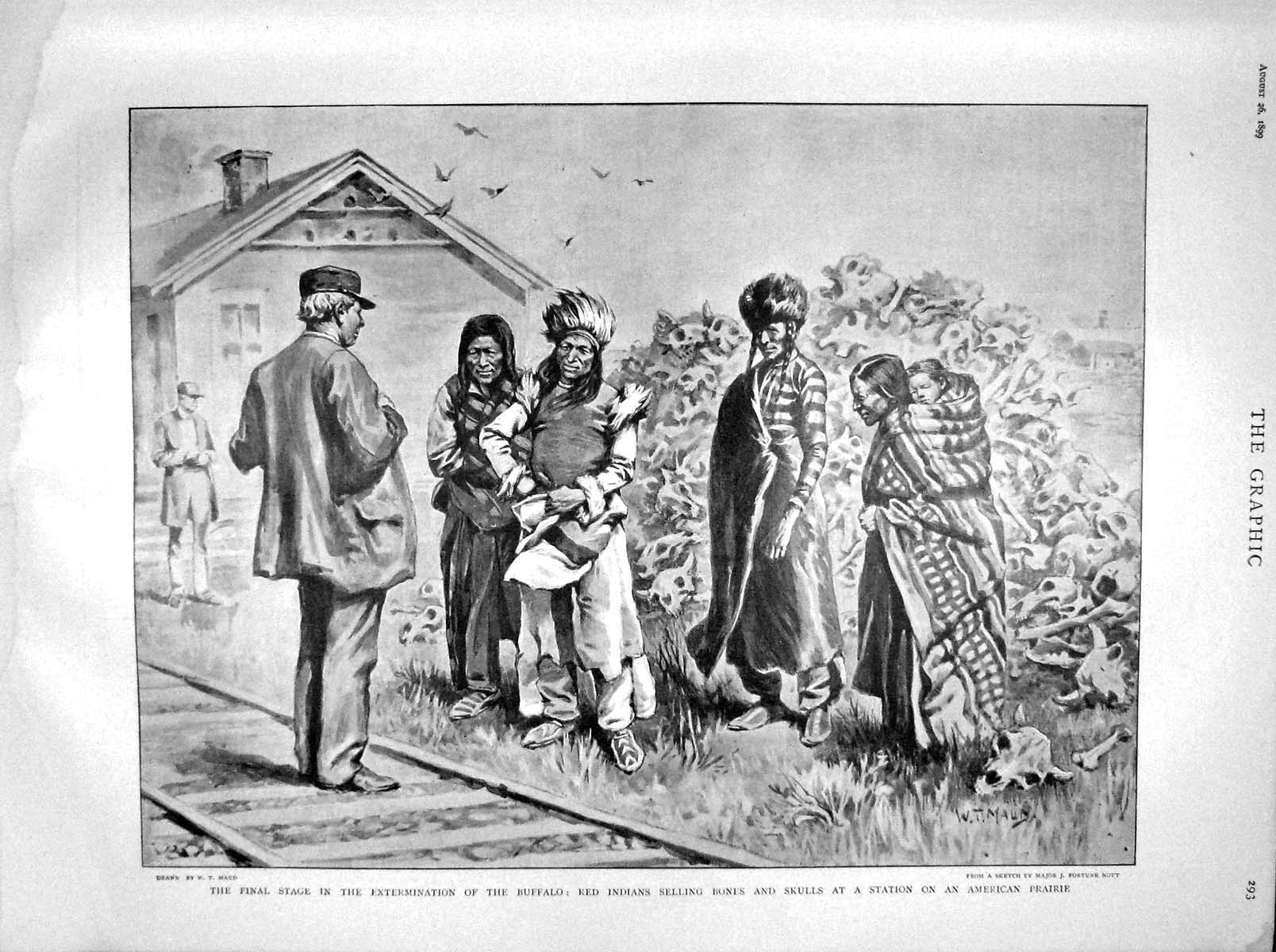 Original Old Antique Print 1899 Buffalo Red Indians Selling Bones Skulls 19th