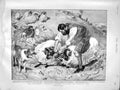 Old Antique Print 1899 Highland Shepherd Separating Combatant Rams Sheep 19th