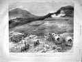 Old Antique Print 1899 Rietfontein Doolie Yule War Ambulance Burghersdorf 19th