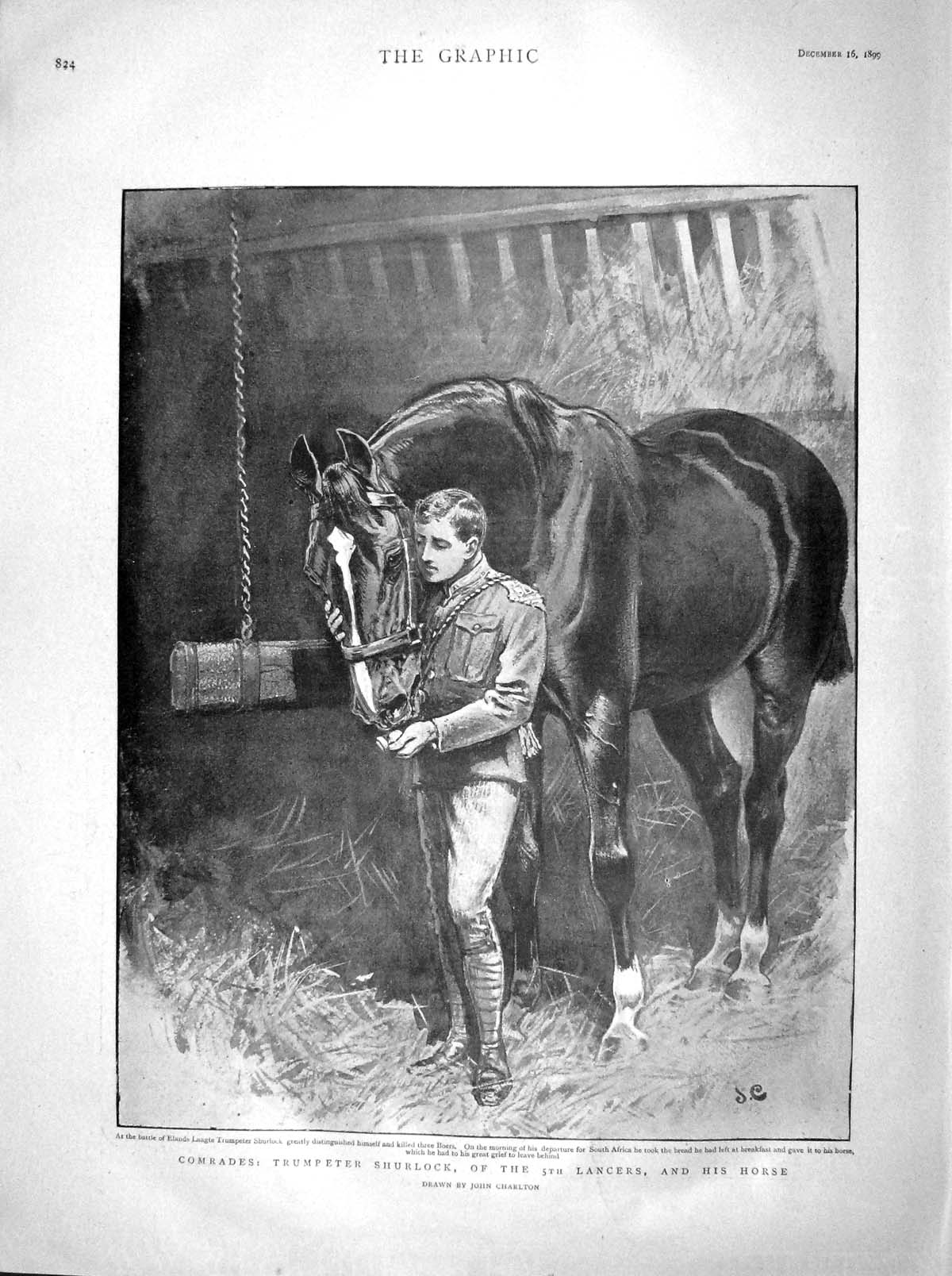 Original Old Antique Print 1899 Trumpeter Shurlock Lancers Horse Train Estcourt