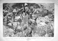 Antique Old Print 1899 Battle Colenso General Hildyard Brigade Fort Wylie 19th