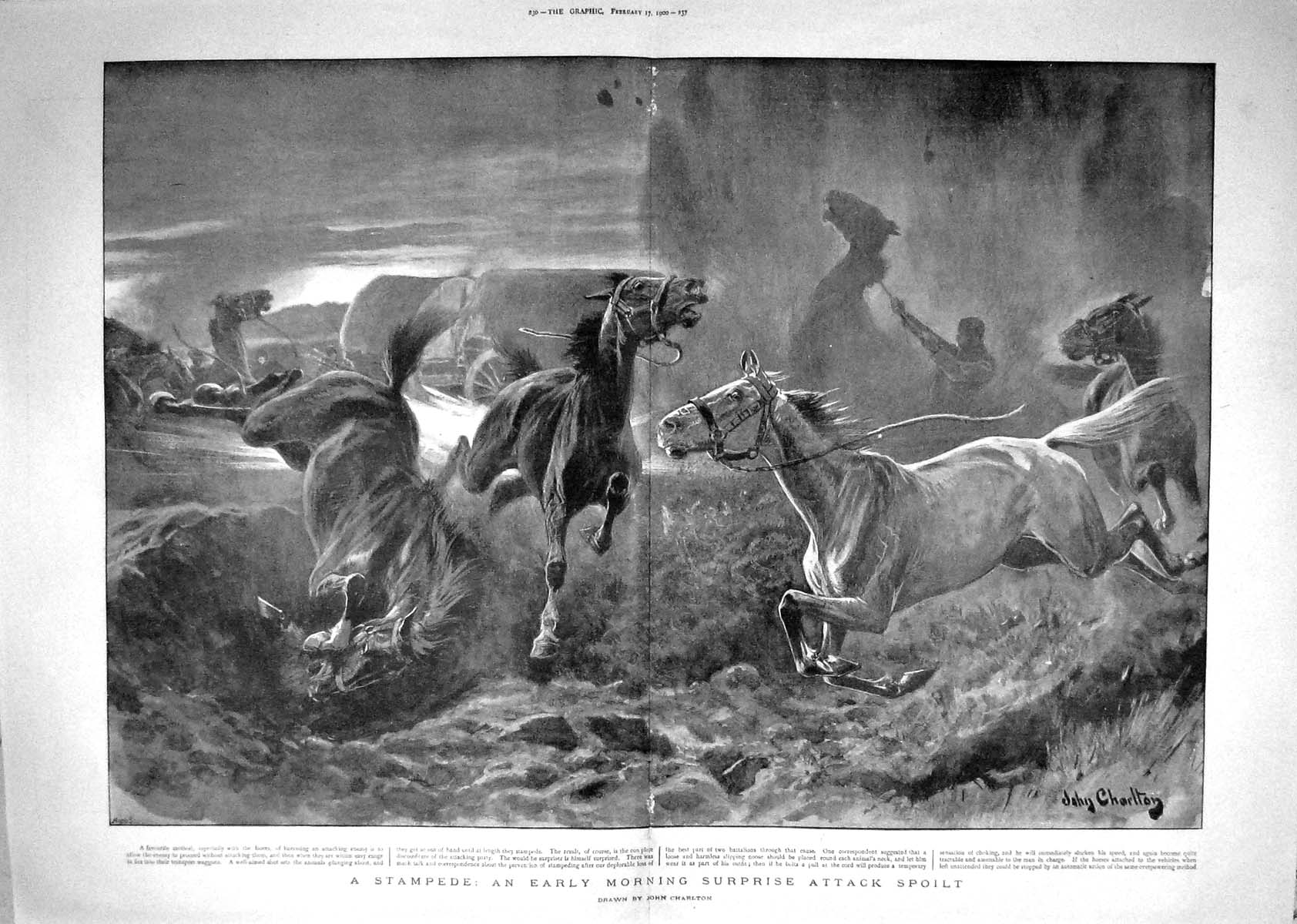 Original Old Antique Print 1900 Horses Early Morning Stampede Boers War Attack