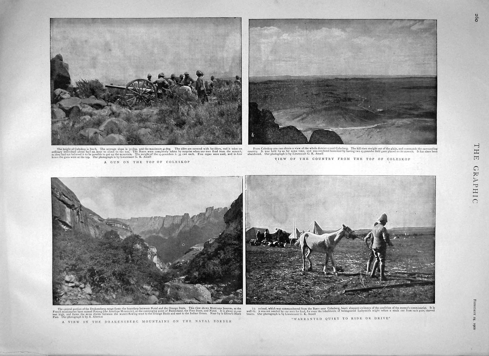 Original Old Antique Print 1900 Drakensberg Mountains Coleskop War Gun Natal