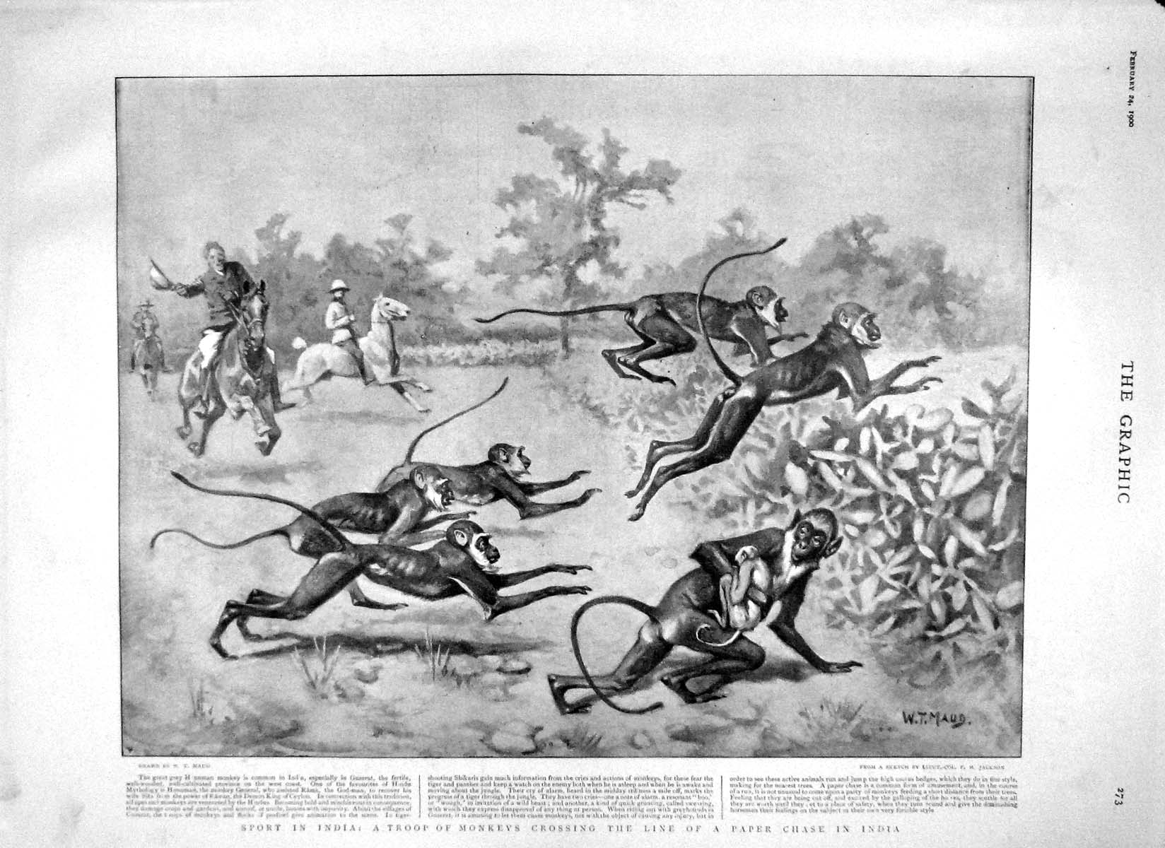 Original Old Antique Print 1900 India Monkeys Paper Chase Sport Goebel Elephant
