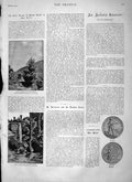 Original Old Antique Print 1900 Giant Lobelias Mount Kenya Groundsel War Medal