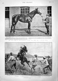 Old Antique Print 1900 Duke Westminster Flying Fox Horse Parliament Emile 20th