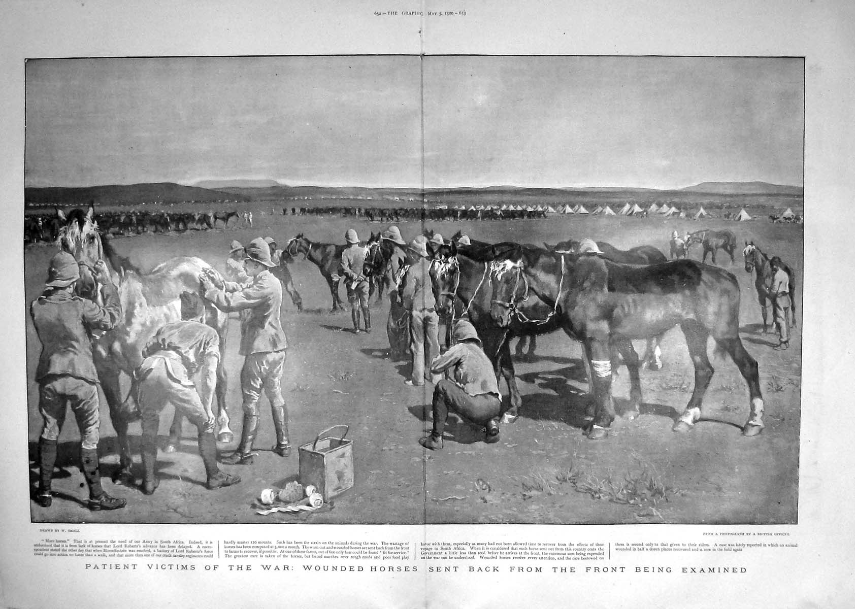 Original Old Antique Print 1900 War Wounded Horses Siers Army South Africa