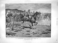 Original Old Antique Print 1900 Australian Army Africa War Crown Italy 20th
