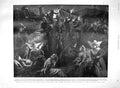 Old Antique Print 1900 King Queen Italy Train Crash Rome Count D'Olivares 20th